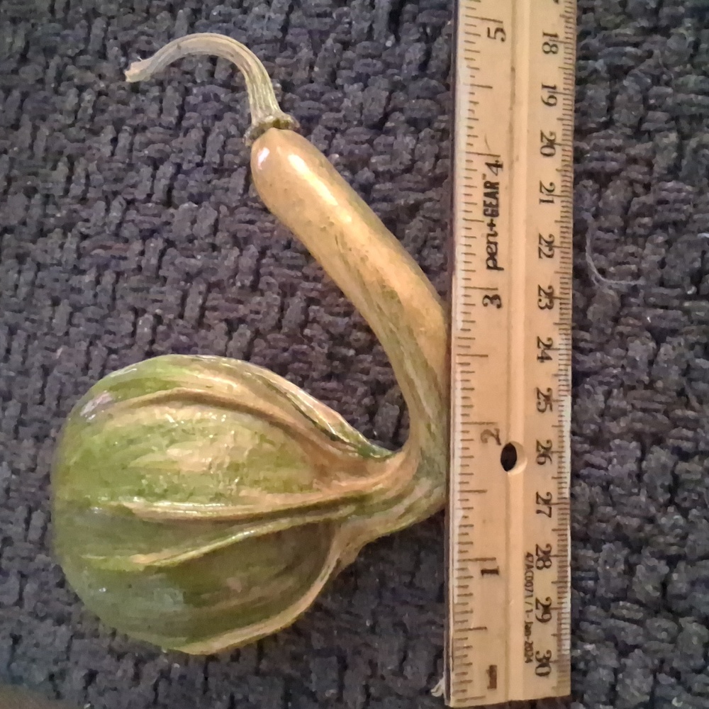 Rustic Dried Gourd Collection - Picture 2 of 9